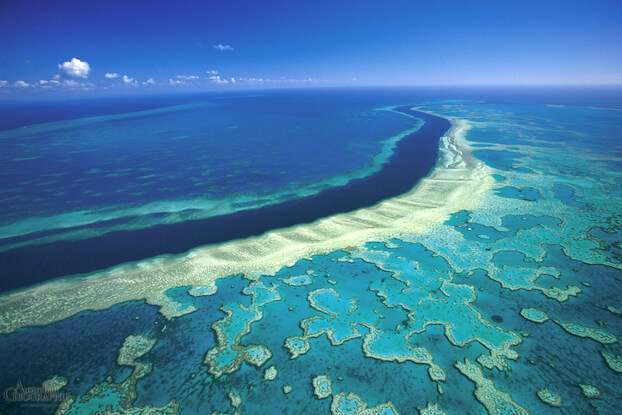 Heysen Trail - The Great Barrier Reef, Australia - Scuba Diving - SLO active